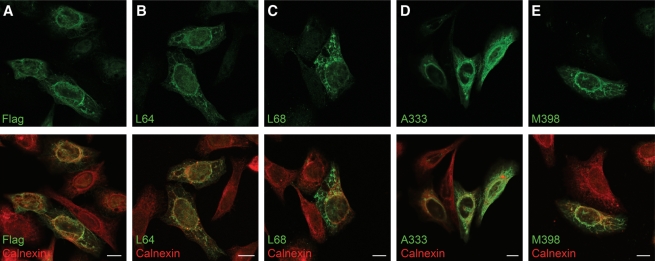 FIG. 3.