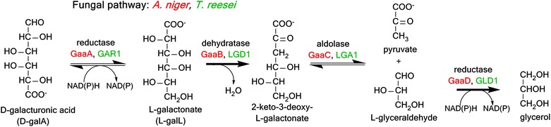 Fig. 4