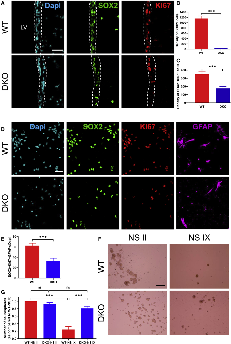 Figure 3