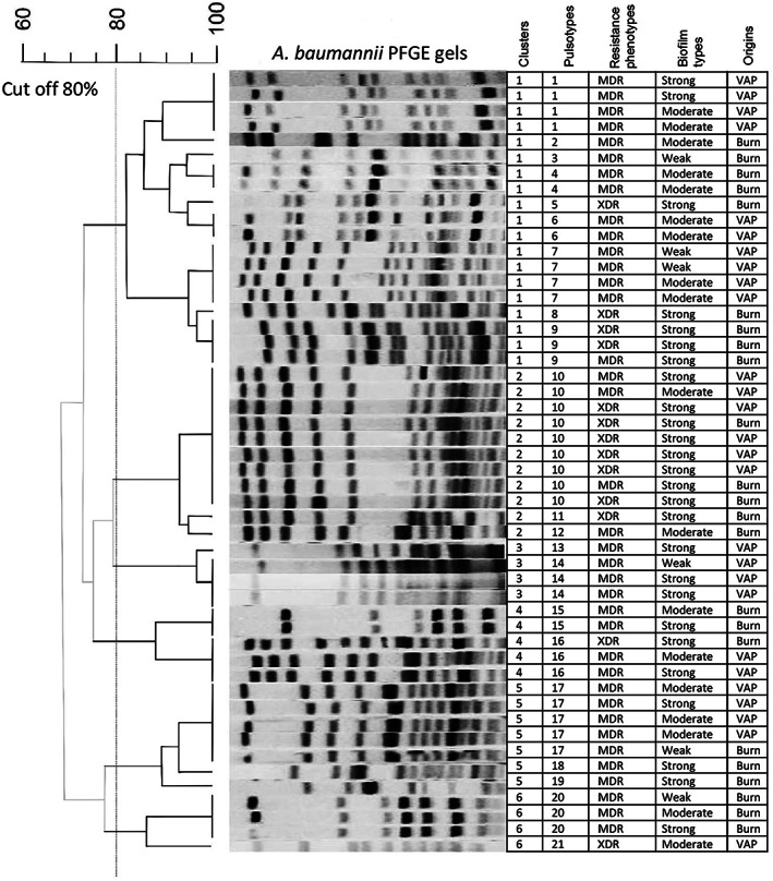 FIGURE 3