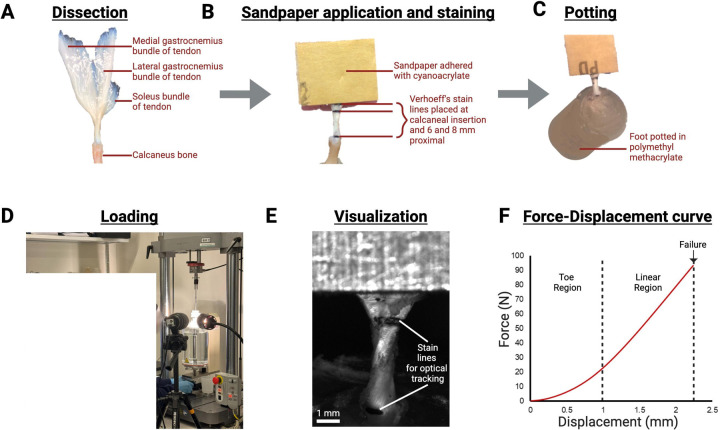 Figure 2.