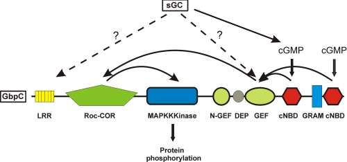 FIGURE 5.