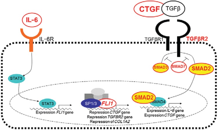 Fig. 2