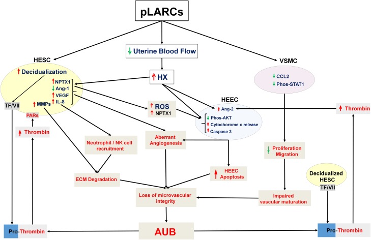 Figure 4