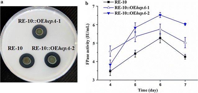 Fig. 8