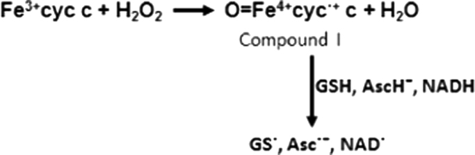 Scheme 2