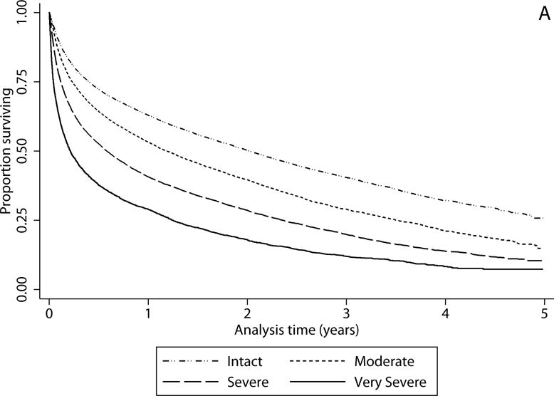 Figure 2a