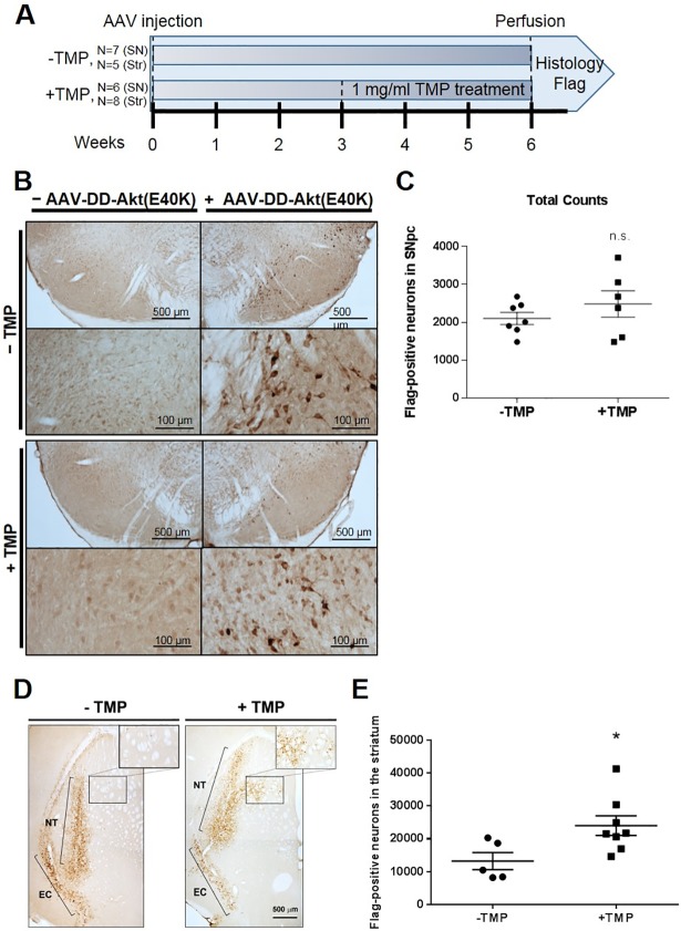 Fig 5