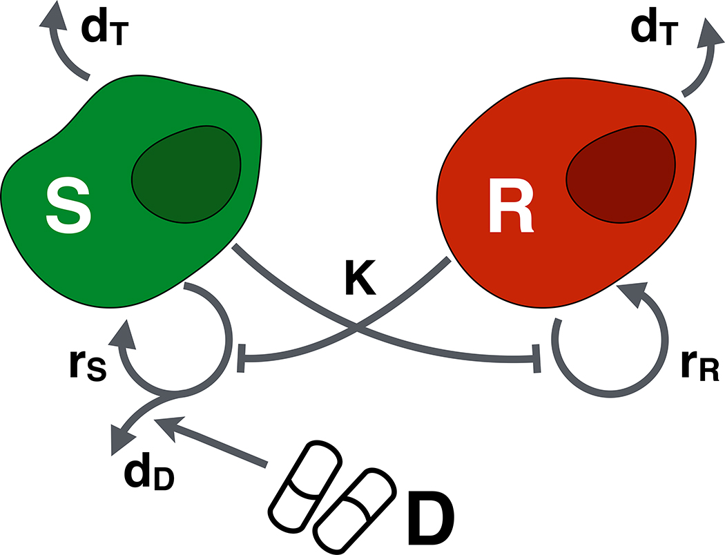 Figure 2: