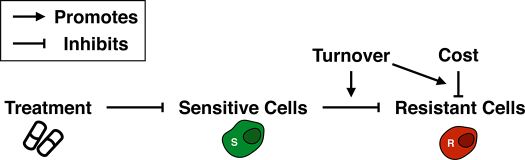 Figure 6: