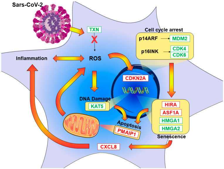 Figure 6