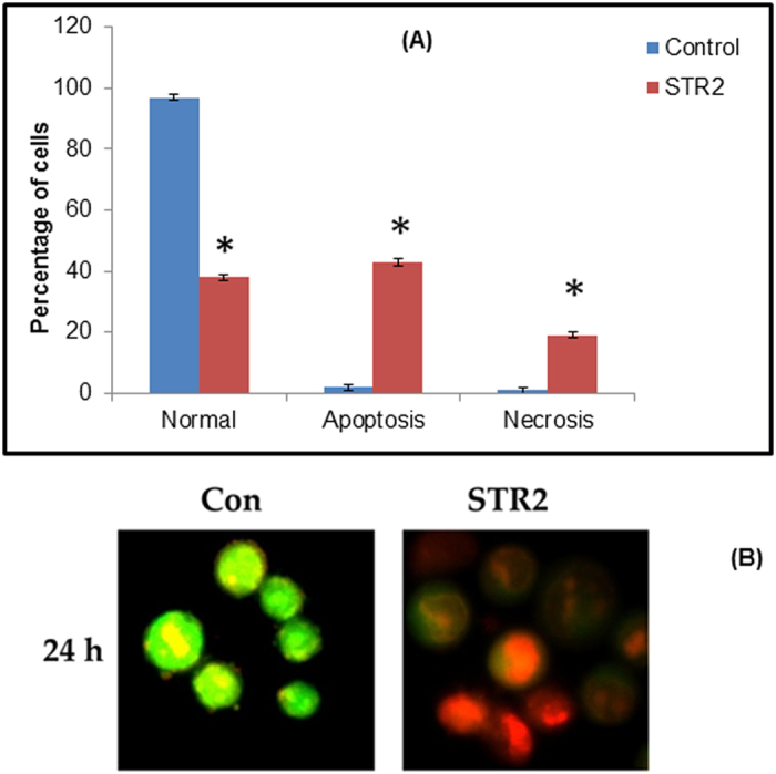 Figure 16