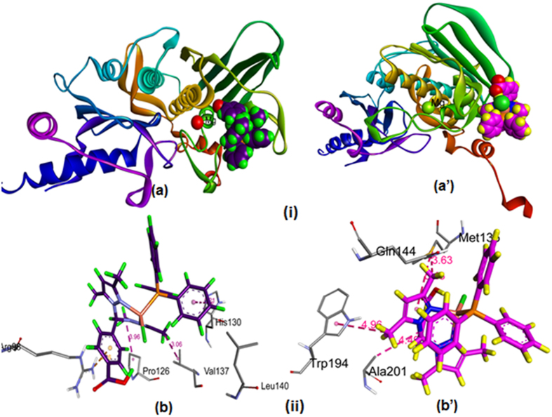 Figure 14