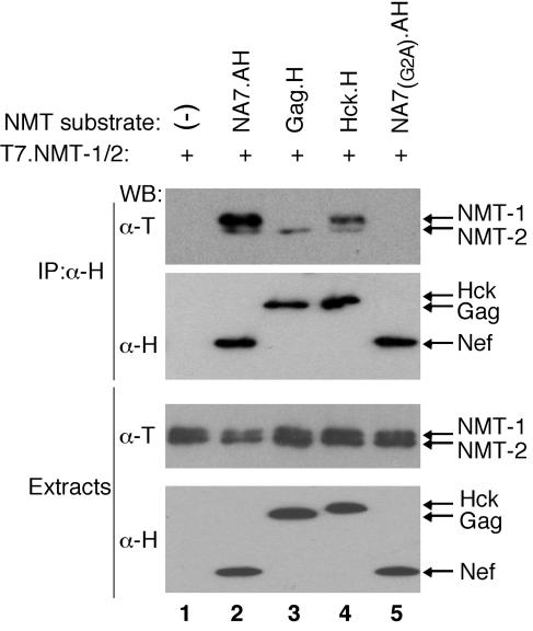 FIG. 5.