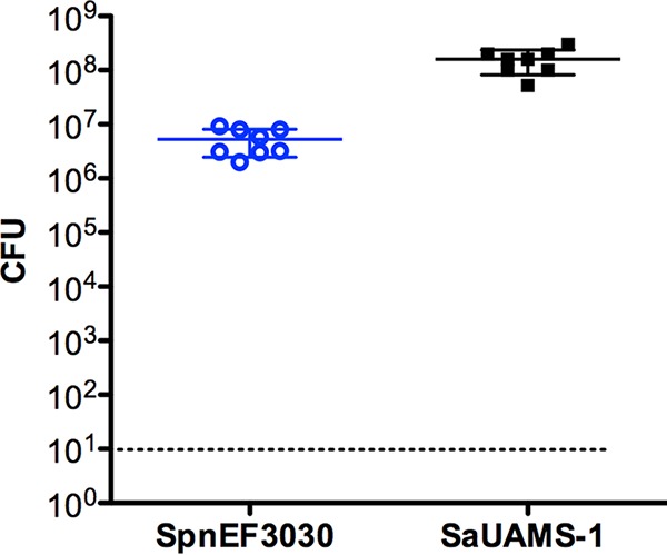 FIG 1 