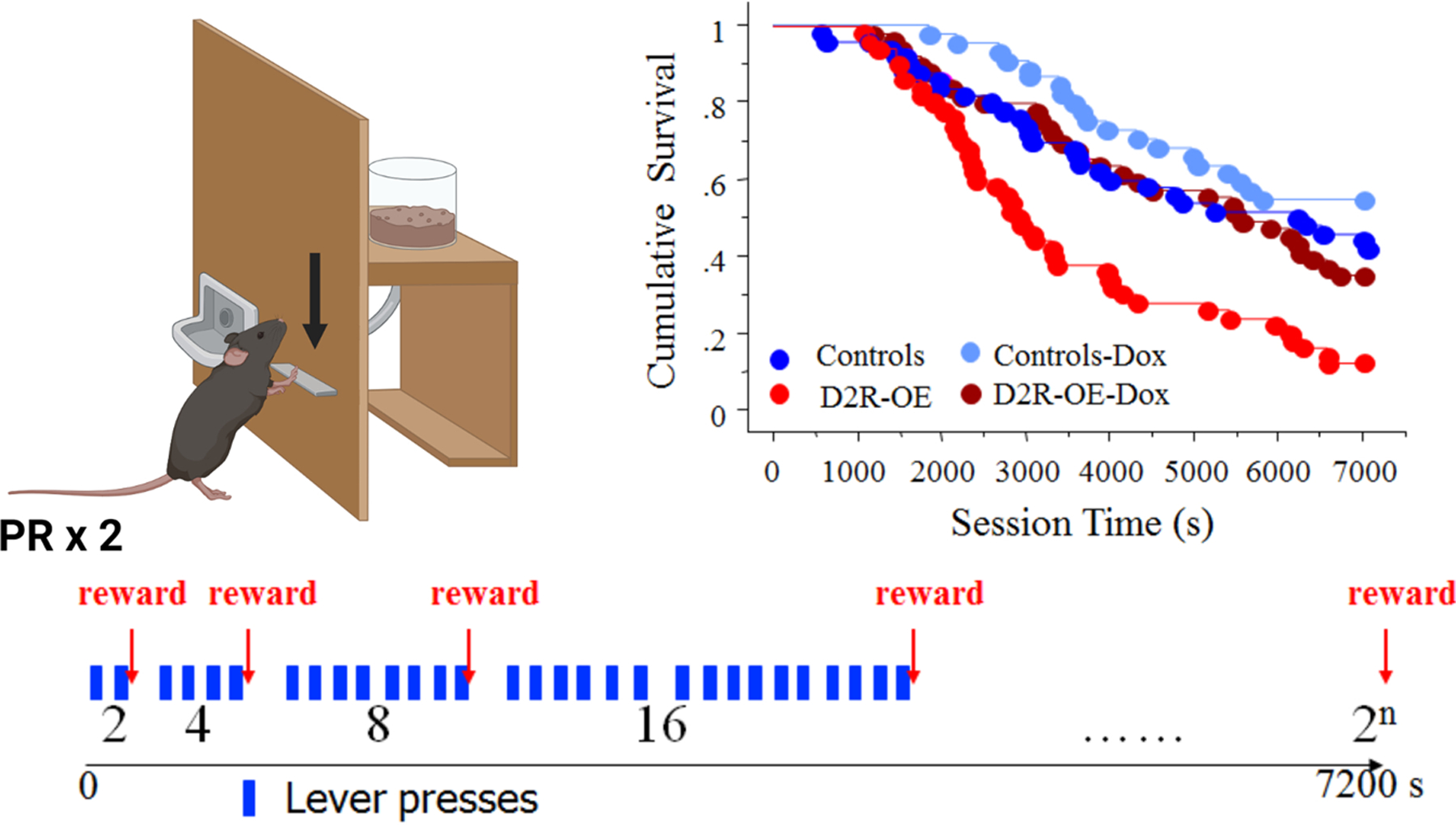 Figure 3.