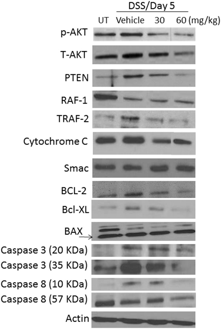 Fig 5