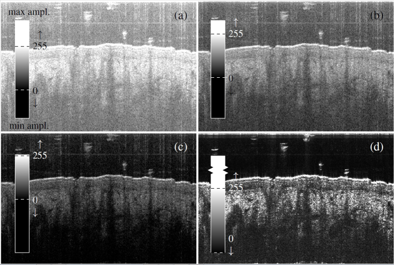 Fig. 15