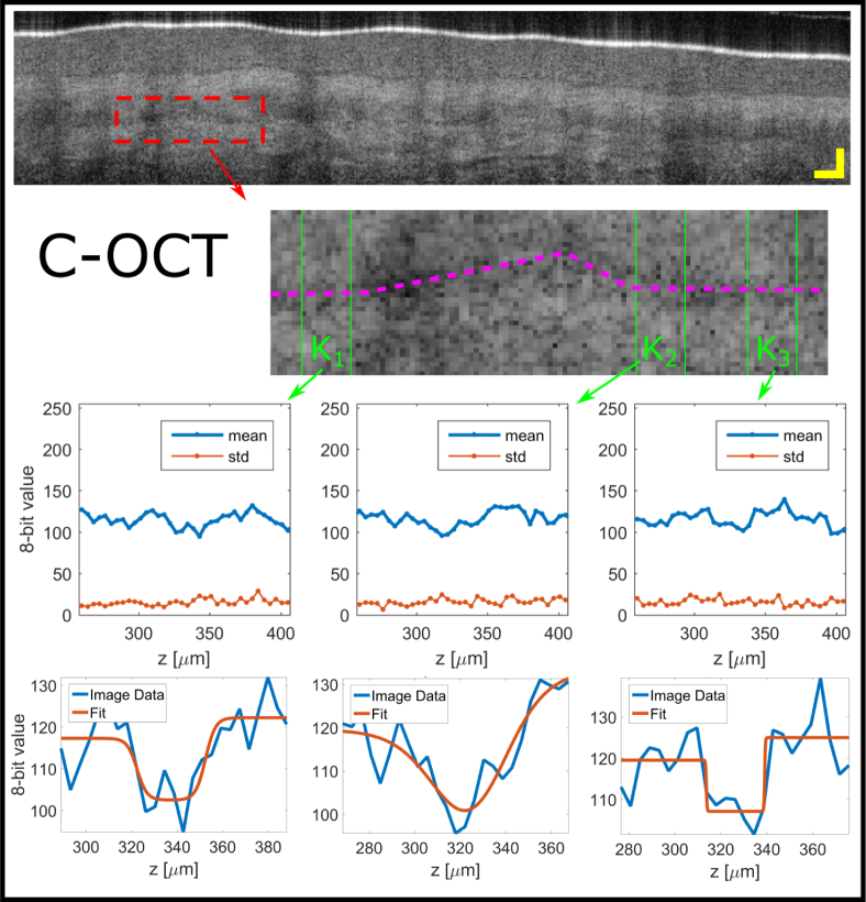 Fig. 8