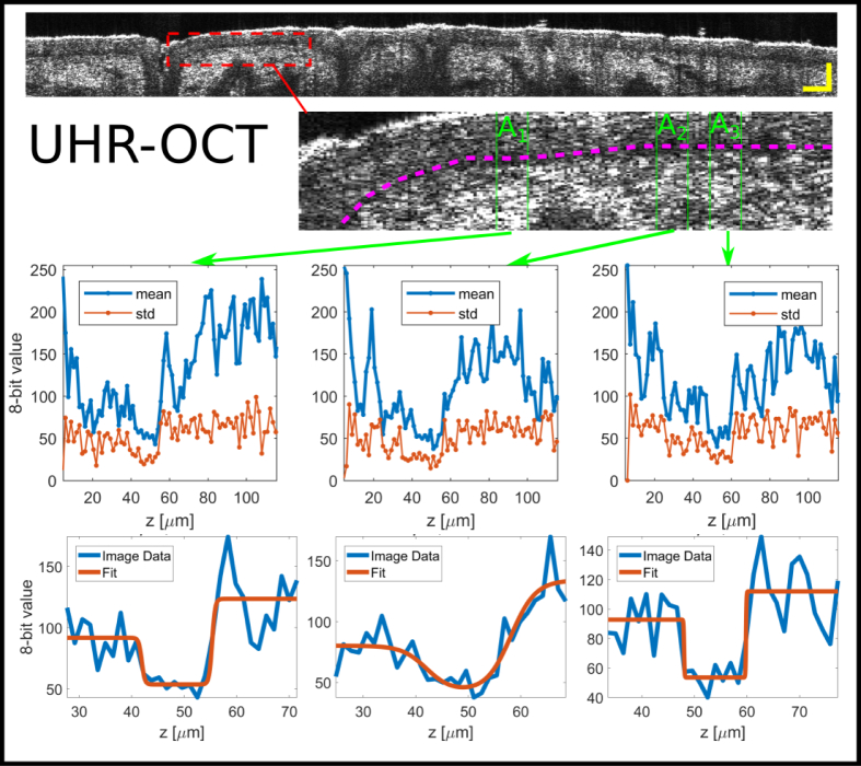 Fig. 3