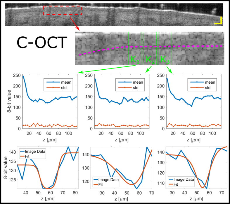 Fig. 4