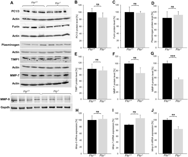 Fig 5