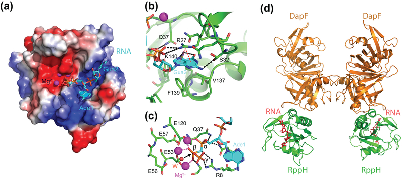 Figure 3 |