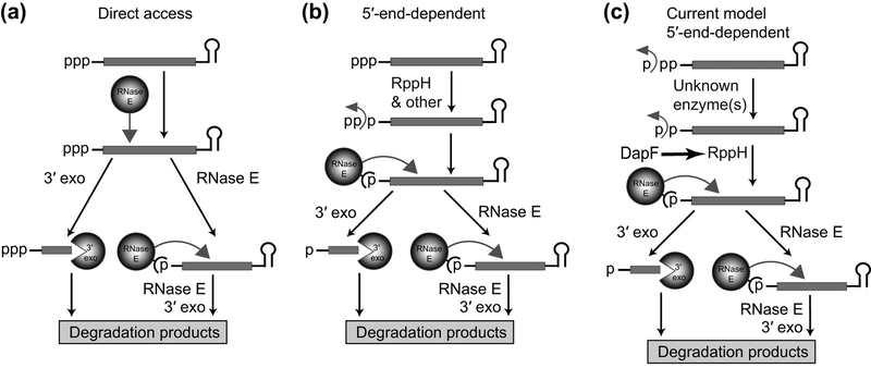 Figure 2 |