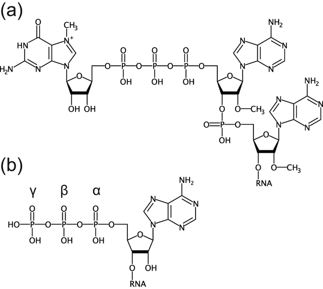 Figure 1 |