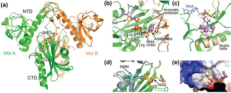 Figure 6 |