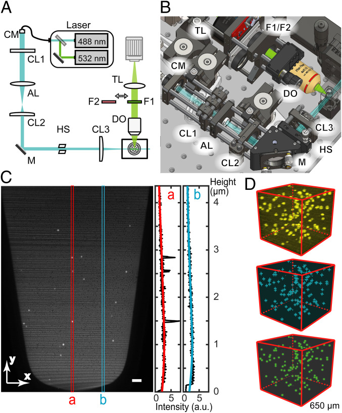 Fig. 3.