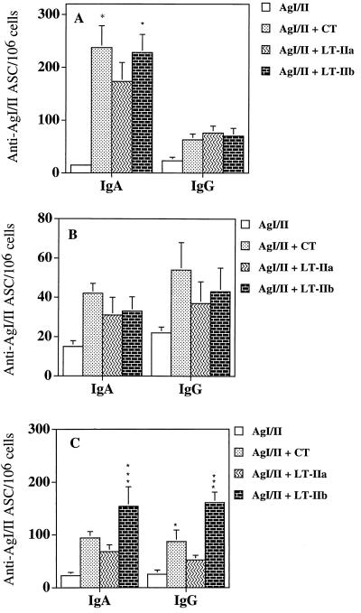 FIG. 6