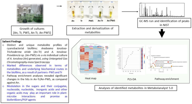 Image, graphical abstract