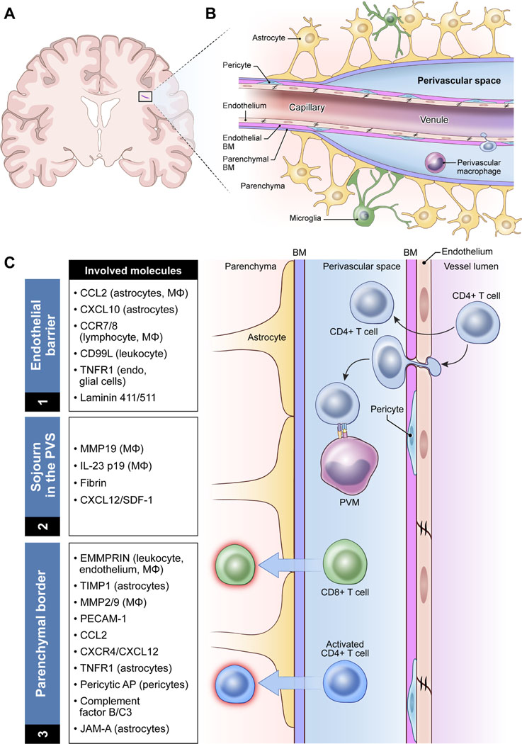 Figure 1: