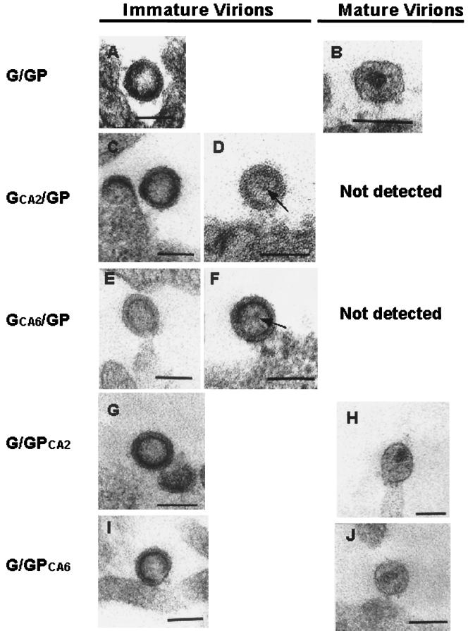 FIG. 7