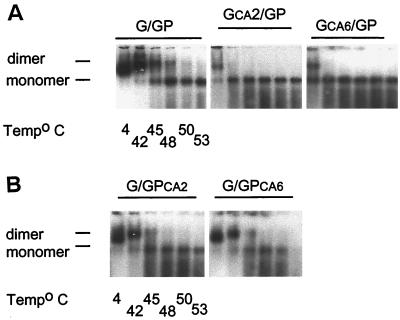 FIG. 6