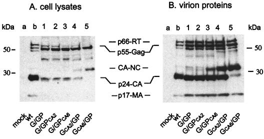 FIG. 5