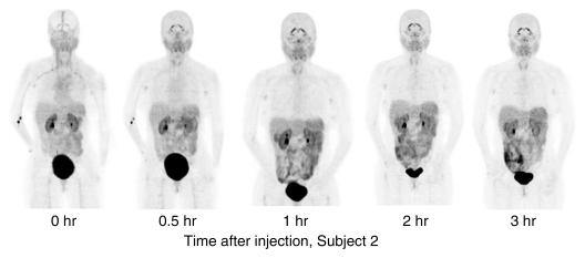 Figure 3a: