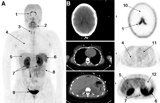 Figure 2: