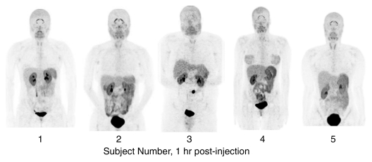 Figure 3b: