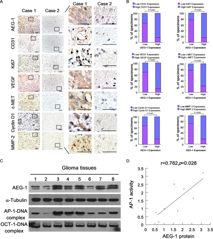 FIG 6