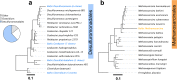 FIG 3