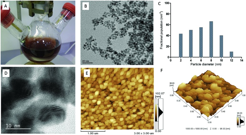 Fig. 1