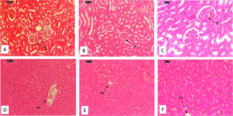 Fig. 9