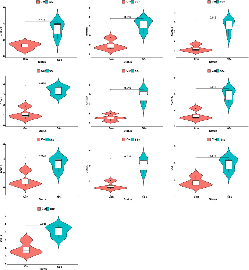 Figure 10