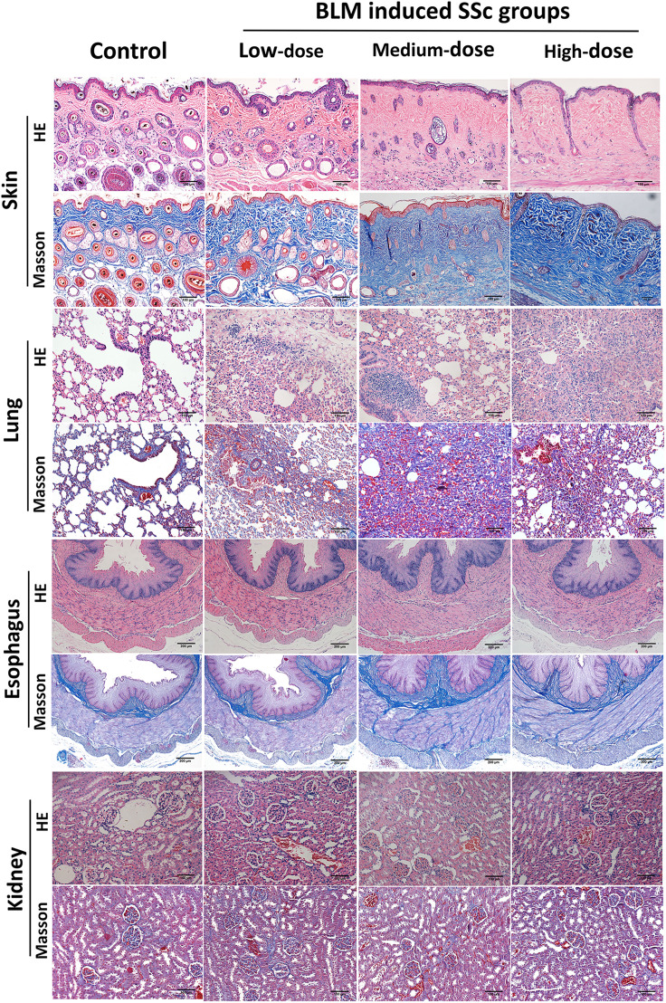 Figure 2