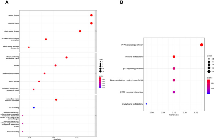 Figure 6