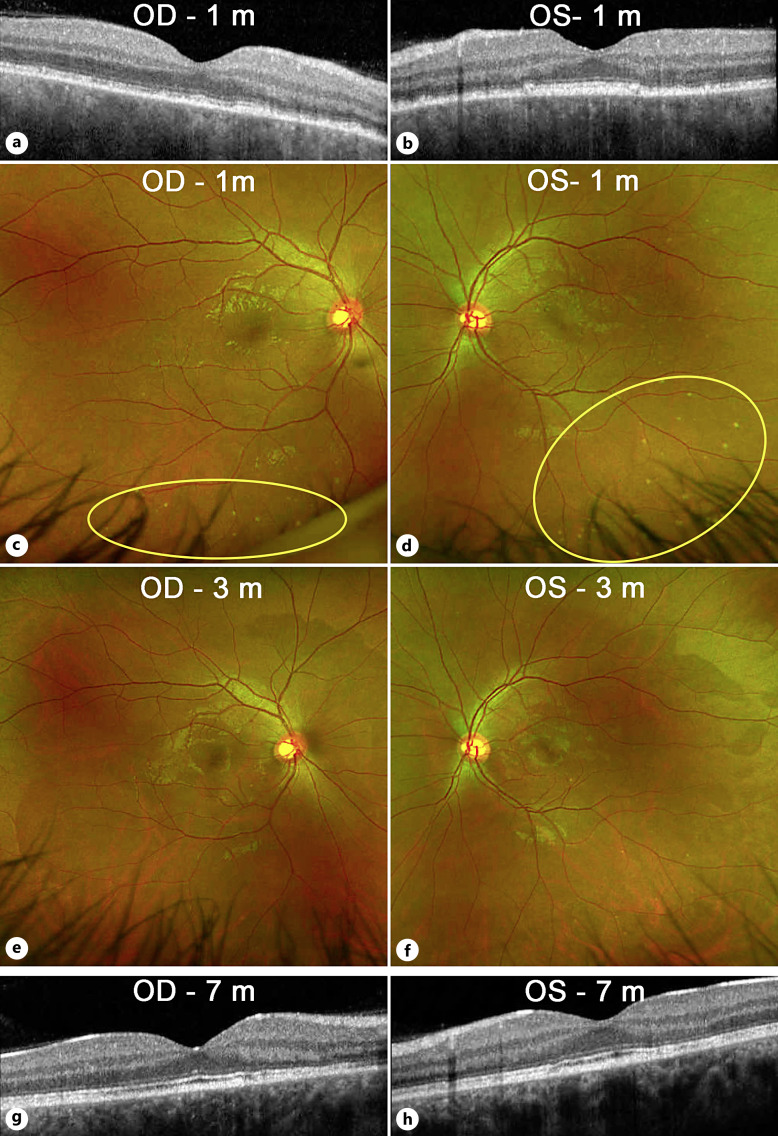 Fig. 4.