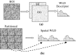 Fig. 2