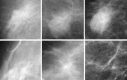 Fig. 7